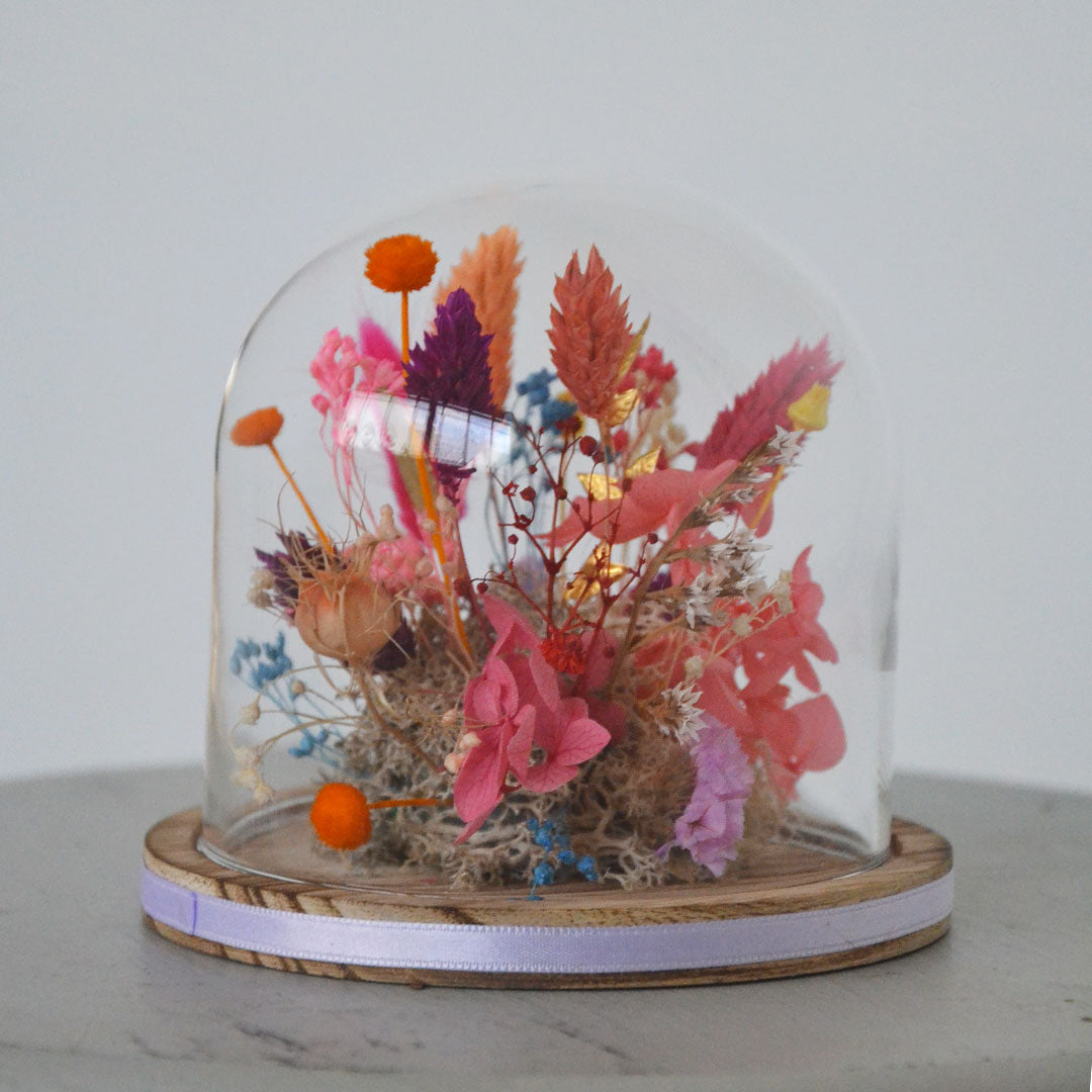 Cloche MULTICOULEURS