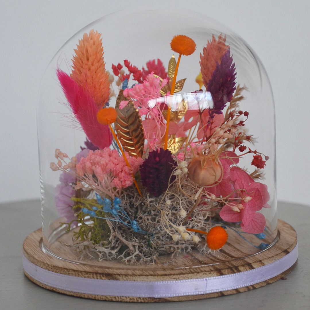 Cloche MULTICOULEURS