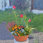 Load image into Gallery viewer, Coupe de plantes grande | Flauri